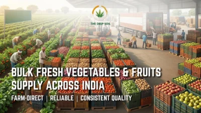 Bulk fresh vegetables and fruits supply across India from The Deep Soil farm-direct warehouse.