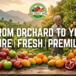 A farmer harvesting premium fresh fruits online from The Deep Soil orchards including apples, mangoes, and pomegranates.